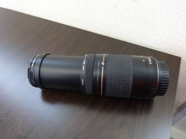 美品 キャノン EF 75-300mm 1:4-5.6 Ⅱ ULTRASONIC 激安