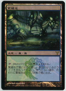 MTG/DIS 繁殖池/日1 Foil ○ 【公式通販】