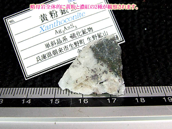 兵庫県産・黄粉銀鉱/濃紅銀鉱に伴い黄色鼈甲調の質感のレア鉱物