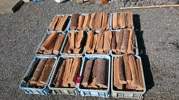 薪 桜、サクラ２００Ｋｇ 桜１００%は今シーズンラスト