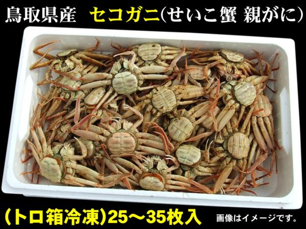 【トロ箱冷凍セコガニ】[生]訳あり鳥取(25～35枚程度入)同梱不可