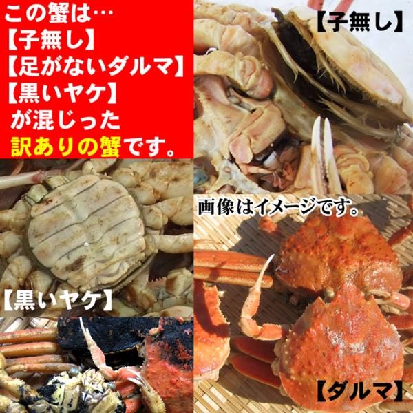 【トロ箱冷凍セコガニ】[生]訳あり鳥取(25～35枚程度入)同梱不可