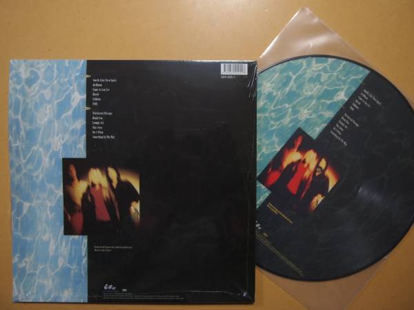 Nirvana-Nevermind☆限定ピクチャー盤 ロック、ポップス一般 音楽