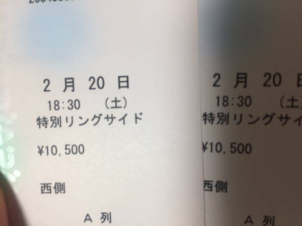 【ペア】新日本プロレス 2月20日 後楽園ホール ROH【送料込み】