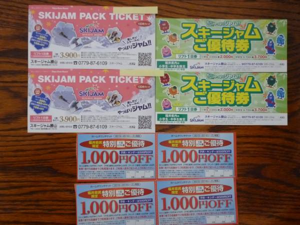 施設利用券 スキーJAM勝山 リフト券 1日