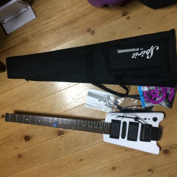 スタインバーガー中古