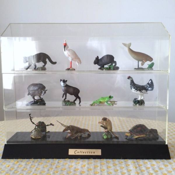 小学館　週刊日本の天然記念物全５０冊＋フィギュア５１体