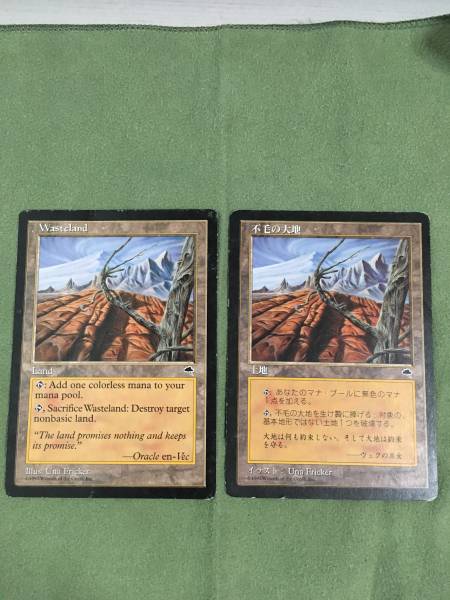 不毛の大地 MTG ⁄日本語版 : テンペスト - Wasteland 「mtg · 日本語版