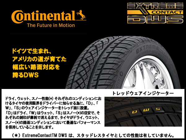 最新高性能] コンチネンタル DWS 295/30R19 2本送料込41904円 DWS