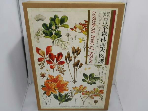 原色精密 日本森林樹木図譜 日本竹類図譜付 大型本 初版本 原色精密