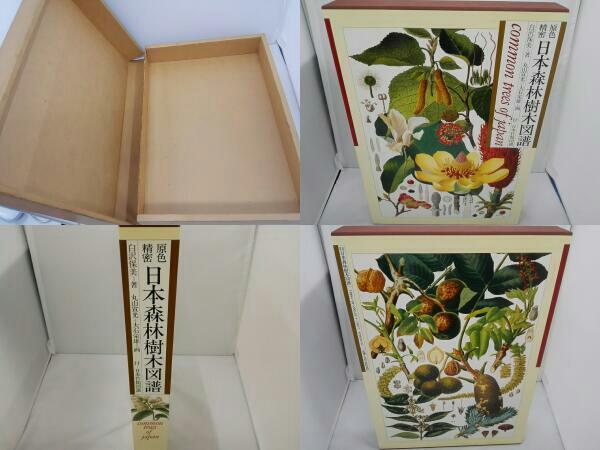 原色精密 日本森林樹木図譜 日本竹類図譜付 大型本 初版本 原色精密