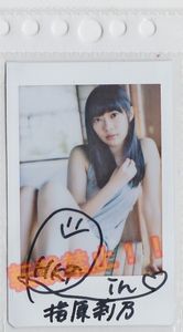 指原莉乃 直筆サイン入りチェキ AKB48 HKT48