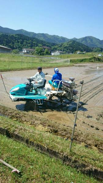 数量限定　28年度産コシヒカリ　150kgパック