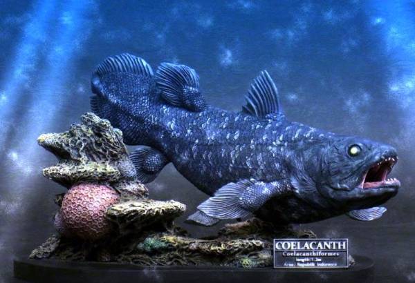シーラカンス 生きた化石フィギュア 全長約30cm 生き物 売買されたオークション情報 Yahooの商品情報をアーカイブ公開 オークファン Aucfan Com