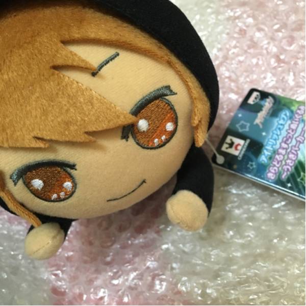 ☆中古VISION ゲージ☆（特定動物許可OK）☆ 引取限定 VISION