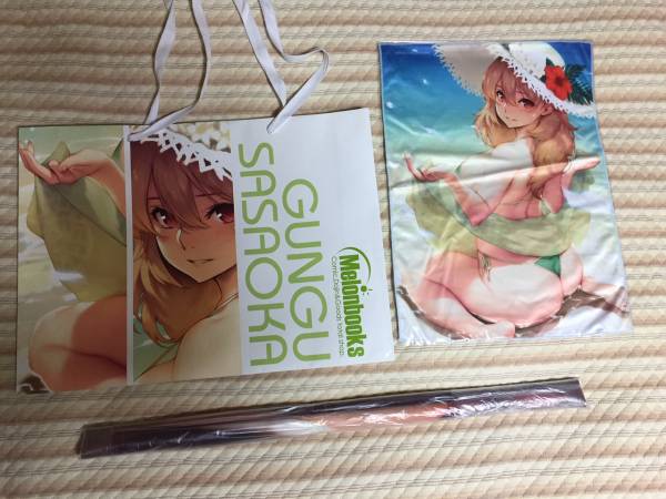 SHIN echoes 会報誌 No.2～10 クリアファイル付き C90 笹岡ぐんぐグッズセット クリアファイルなし A4クリアファイル(2