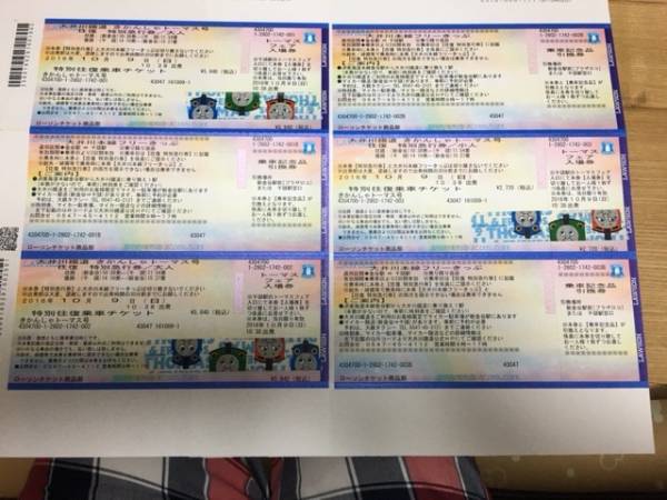 大井川鉄道機関車トーマス号10/9（大人2枚子供1枚）往復チケット