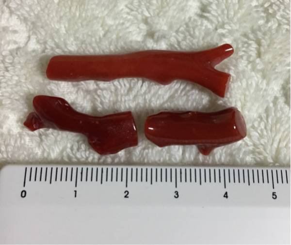 土佐の高知の血赤珊瑚】磨済36.5ct 枝3本色5ランク含、最落無 呉工業