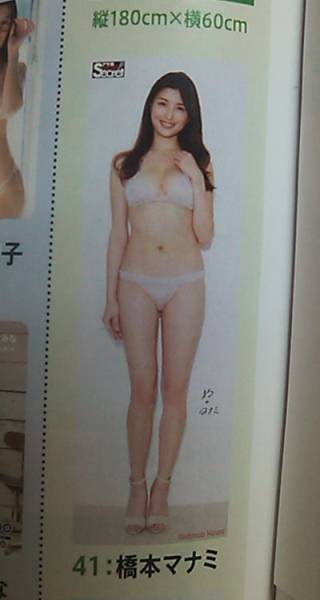 橋本マナミ アサ芸Secret!　等身大ポスター