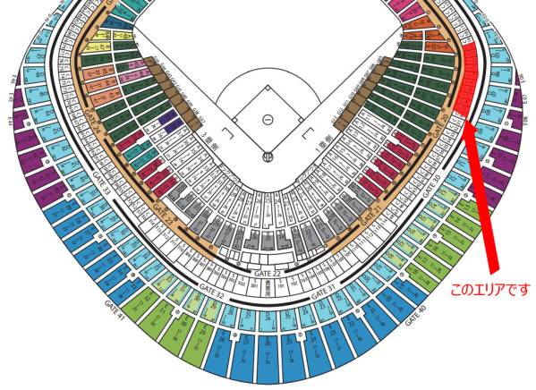 【手渡し】10/10（祝）巨人vsDeNA～バルコニーシート（1塁）3枚_1