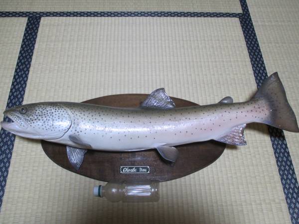 幻の大魚イトウのレプリカ・約83センチの超大型・等身大・良品