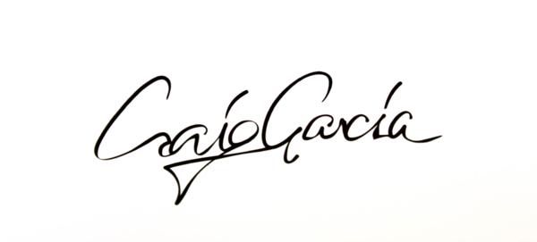 クレイグガルシア ルイヴィトンオマージュ アートポスター 4点セット