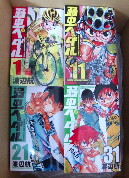 DVD] SAKEROCK サケロック ぐうぜんのきろく 星野源 2005年発売