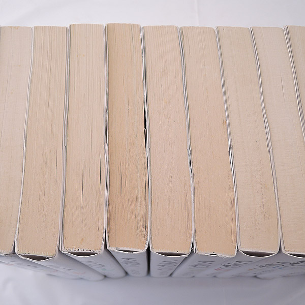 コミック くるねこ 15冊＋くるねこ丼 3冊 エンターブレイン