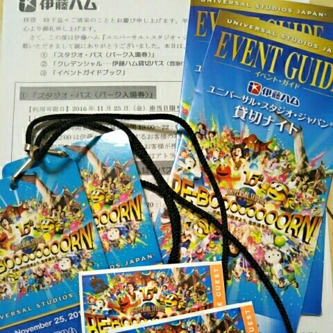 USJ 11/25 貸切パス（ペア）