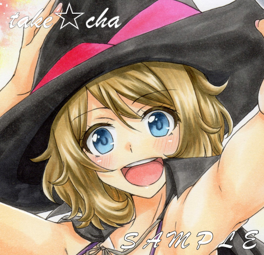 同人手描きイラスト セレナ ポケモン ハロウィン B5 手描きイラスト 売買されたオークション情報 Yahooの商品情報をアーカイブ公開 オークファン Aucfan Com