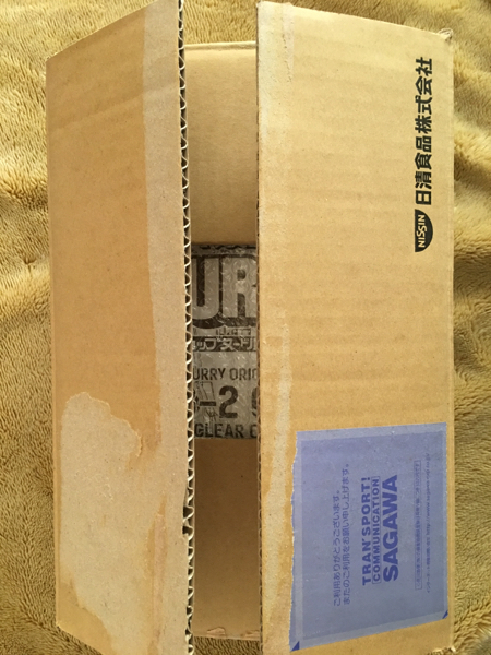 カップヌードル カレー オリジナル 懸賞 ガンダム 1/100 BANDAI