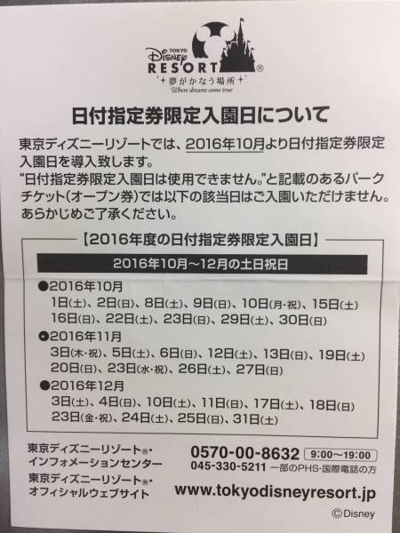 送料込 ディズニーリゾート共通パスポート 大人2枚 2月17日まで