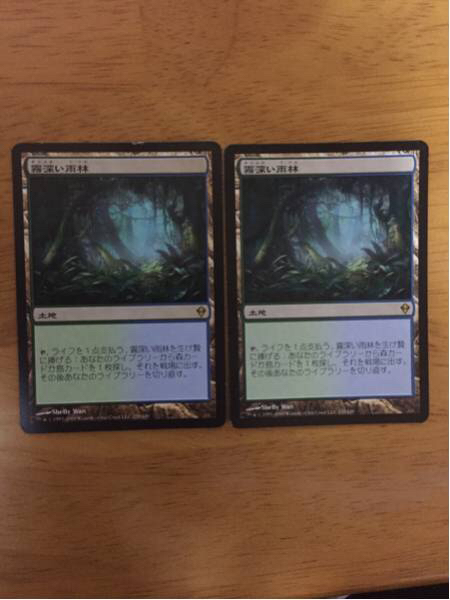 MTG 霧深い雨林/Misty Rainforest ZEN 日 2枚 【公式通販】