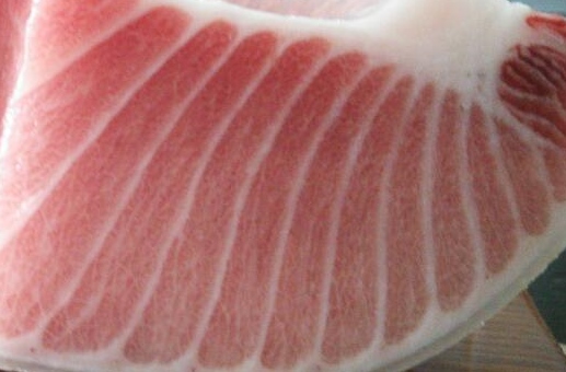 【特価即決】業務用養殖ミナミ鮪腹上/大トロ 710ｇ★