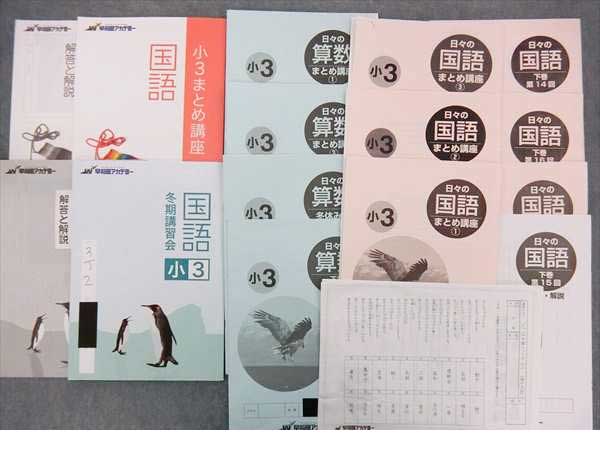 HP20-053 早稲田アカデミー 小3算国セット 計11冊