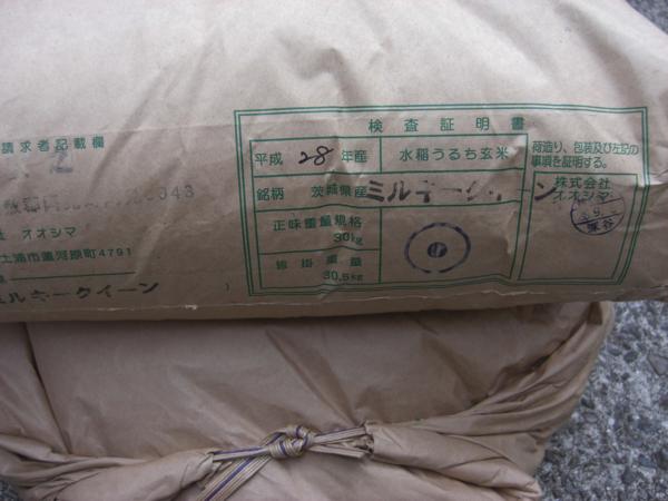 ★新米28年茨城県ミルキークィーン玄米30Ｋ(送一部地域除）検査