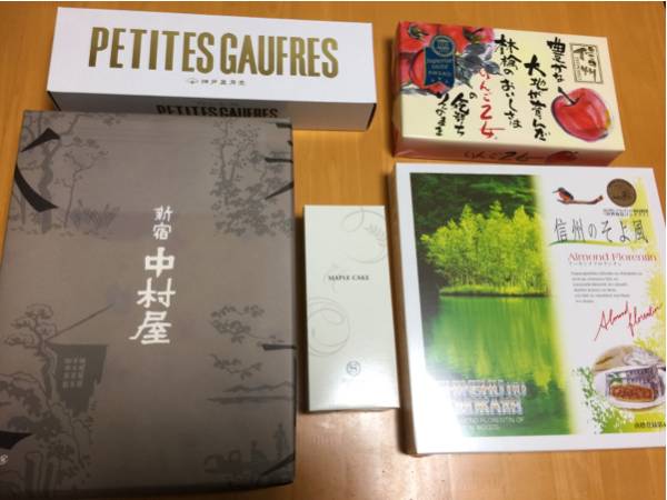 紙本 肉筆保証 櫻」 大幅 中国 T130 拍売会購入 肉筆 紅梅図 董寿平