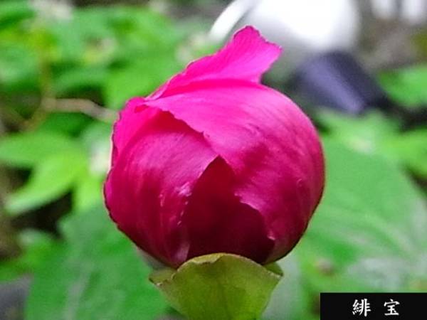 r180168753.2