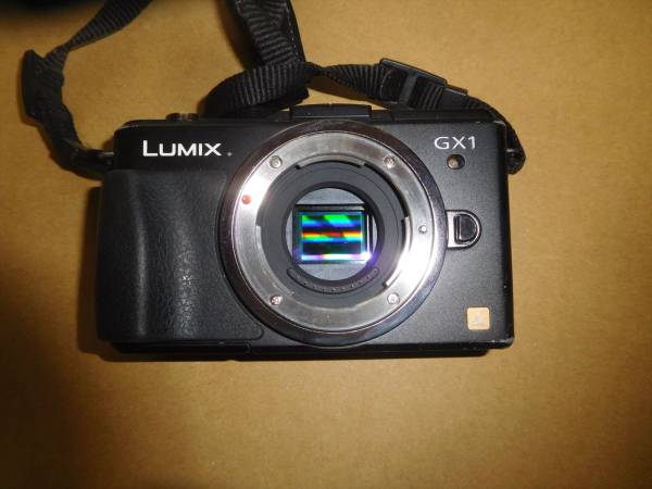 u165355003.5