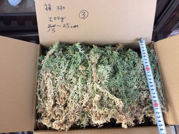 ☆水苔・国産乾燥品 ３ ☆　富貴蘭／長生蘭／セッコク