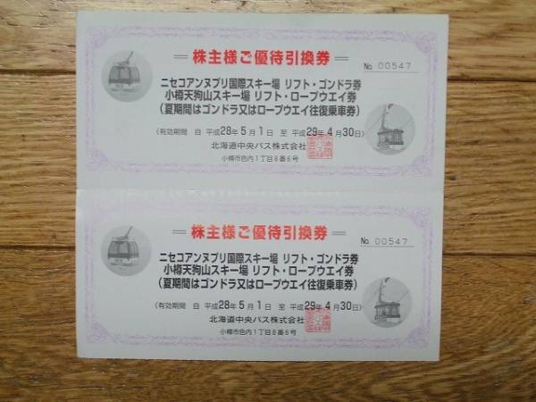 ② ニセコアンヌプリ国際スキー場リフト券2枚