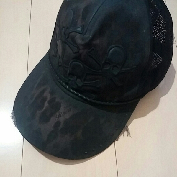 h282594646.1
