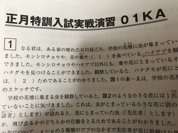 希学園 小6 ベーシック理科 復習テスト•暗記テスト 2017年度 希