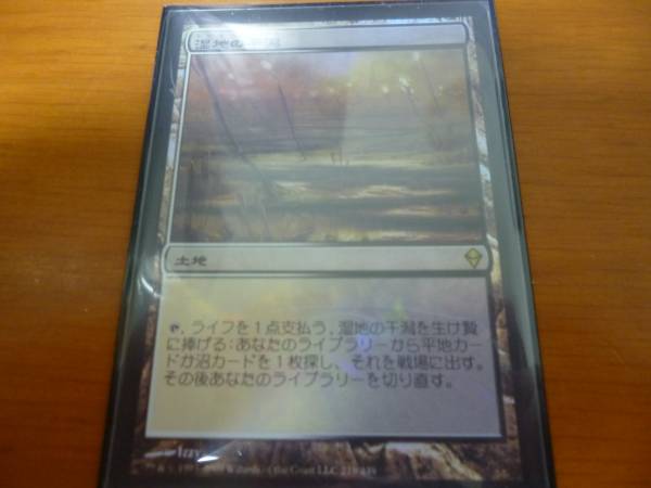 湿地の干潟 | MTG 公式通販 4枚セット 土地R Foil｜Yahoo!フリマ（旧