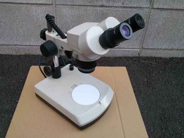 n217849220.3