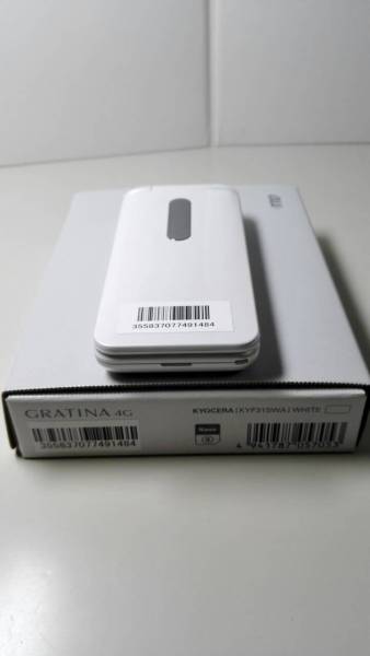 m231648571.1