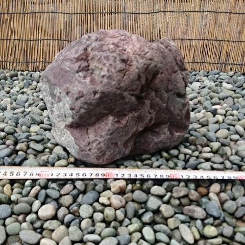 北海道赤石9、7キロ 庭石鑑賞石坪庭盆栽灯籠造園水槽 庭石 北海道産桜