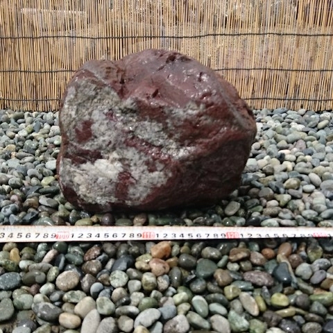 北海道赤石9、7キロ 庭石鑑賞石坪庭盆栽灯籠造園水槽 庭石 北海道産桜
