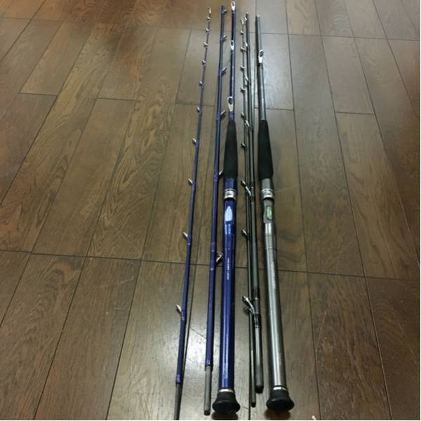 ダイワ 釣り竿 インターライン ロッド 釣具 50号ー HZ潮流T 振出 船竿