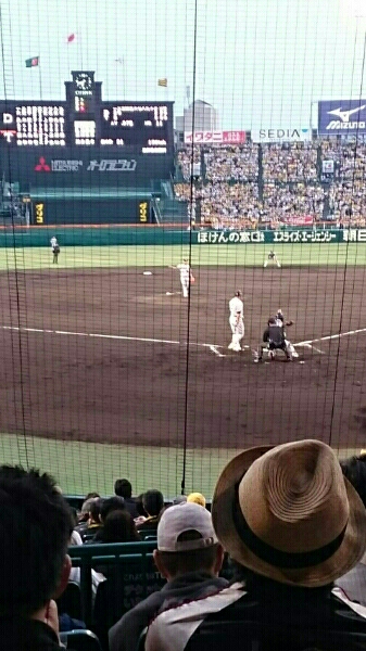9月24 日(日) 阪神　vs　Dena　甲子園グリーンシート _2